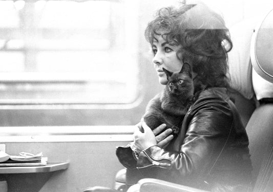 Elizabeth Taylor, Paris, 1971 photo