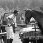 Roi Charles III, Badminton, 1979 photo